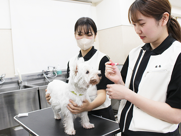 歯みがきしました☆